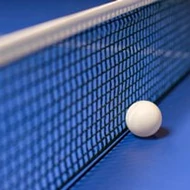 Ping pong háló