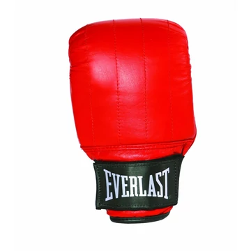 Zsákoló kesztyű Everlast PRO BOSTON