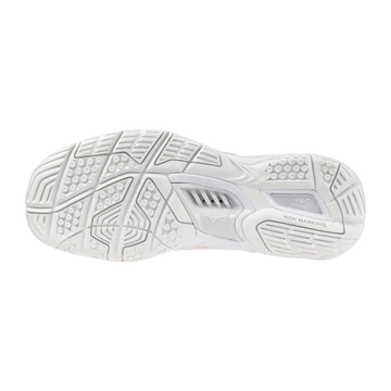 Mizuno Wave Stealth VI, kézilabdás cipő, X1GB243025
