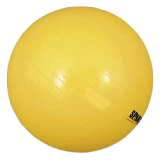 Spartan gimnasztikai labda 45 cm