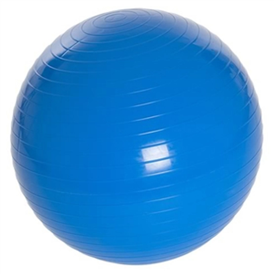Gimnasztikai labda  55 cm, Spartan, kék