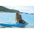 Stand Up Paddle (315cm) Vapor